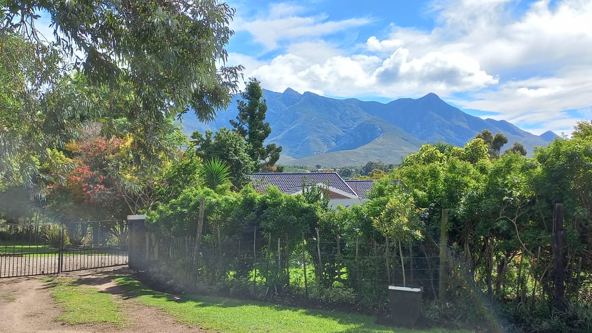 Tree-lined entrance road to Hope Station