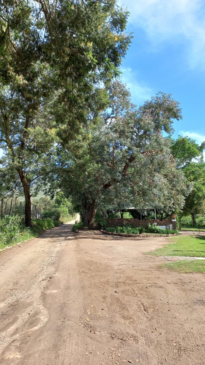 Peaceful garden picnic area