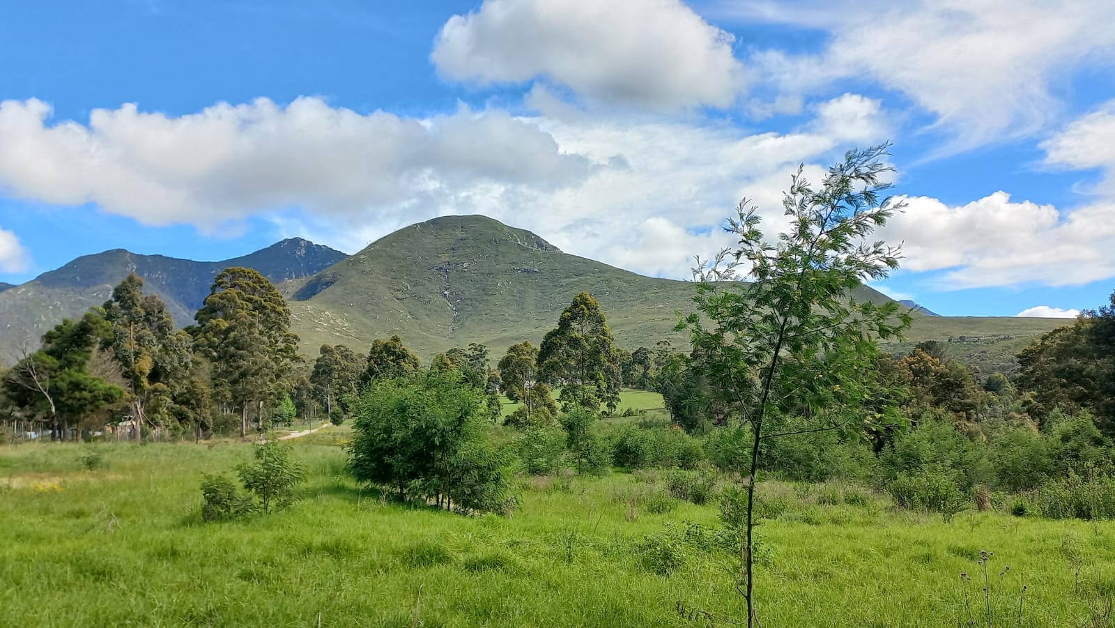 Property entrance with Outeniqua mountain backdrop