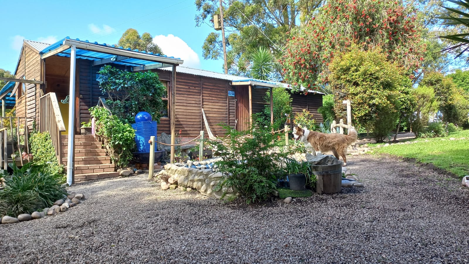 Green meadow with Outeniqua mountains